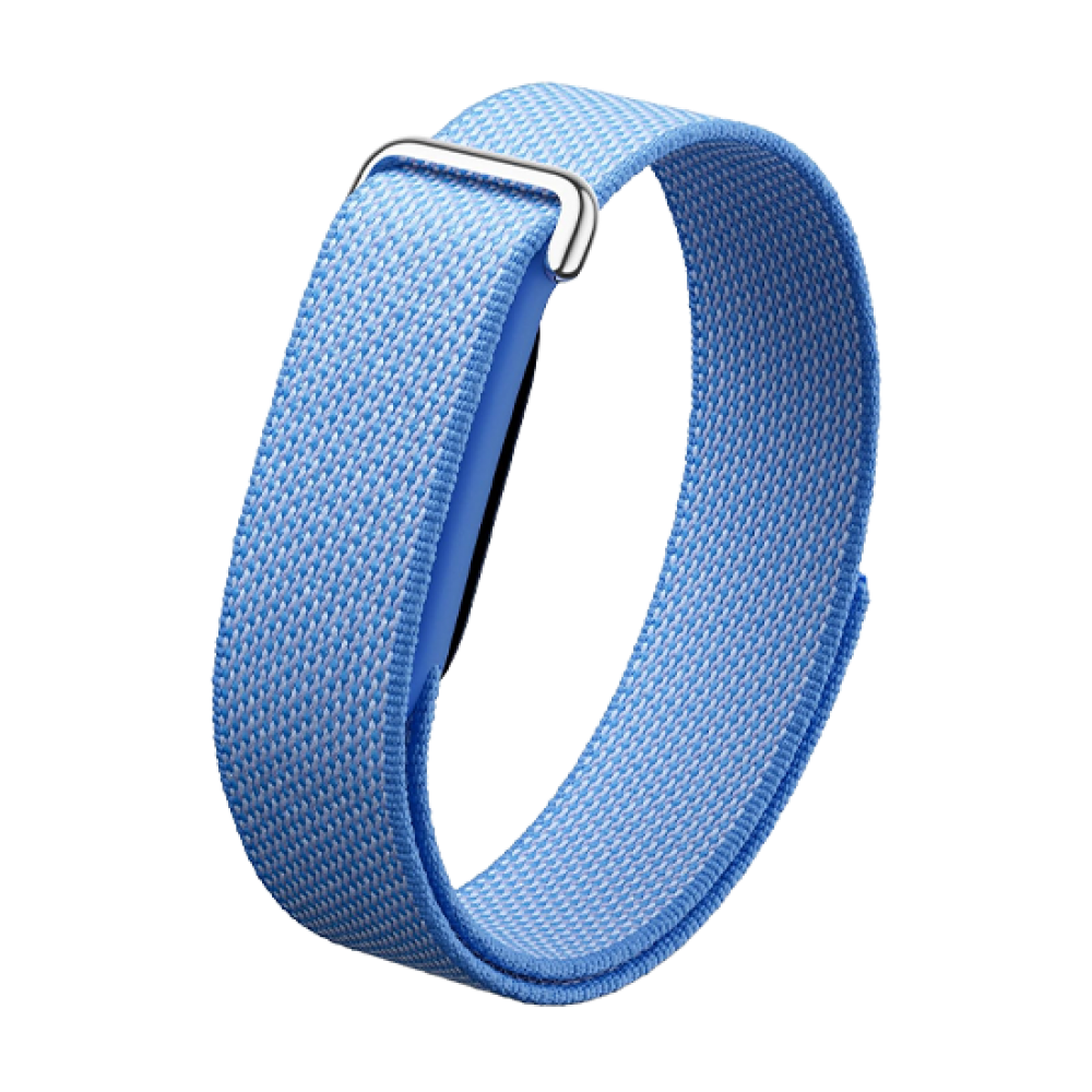 Watch Google Fitbit Air - Lavender